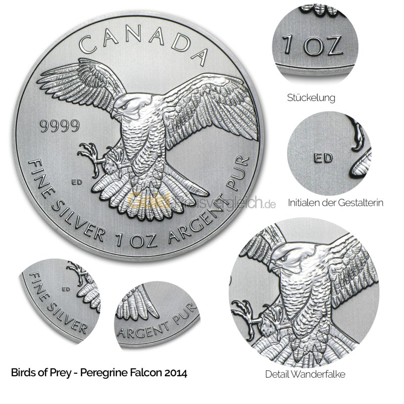 Details der Silbermünze Birds of Prey: Peregrine Falcon