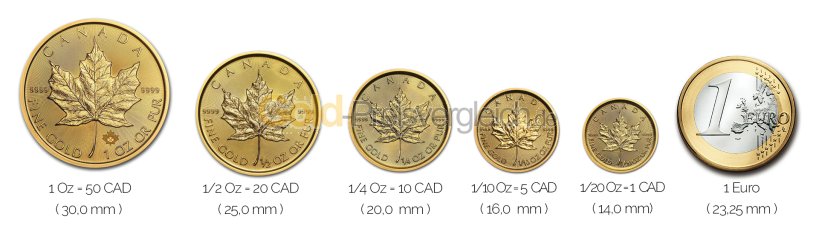 Größenvergleich Maple Leaf Goldmünze mit 1 Euro-Stück