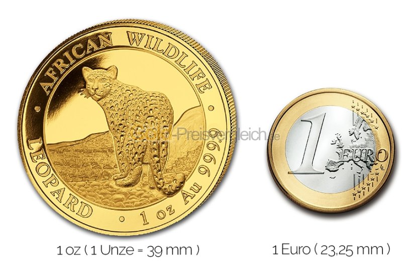 Größenvergleich Somalia Leopard Goldmünze mit 1 Euro-Stück