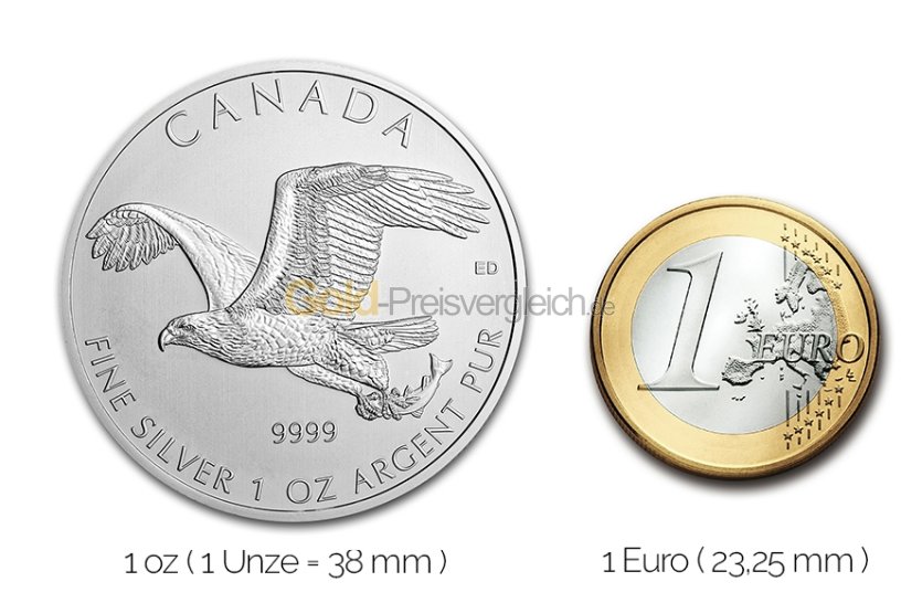 Größenvergleich Birds of Prey Silbermünze mit 1 Euro-Stück