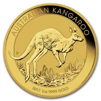 Australian Kangaroo 2017