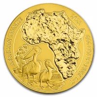 African Pelican (2022)