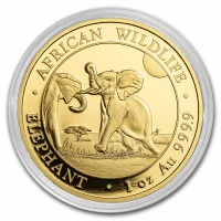 Somalia Elefant Goldmünzen kaufen - Preisvergleich