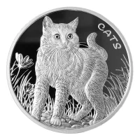 Fiji Cats Silbermünzen kaufen mit Preisvergleich