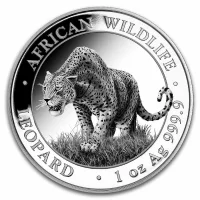 Somalia Leopard Silbermünzen kaufen mit Preisvergleich