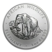 Zambia Elephant 2000