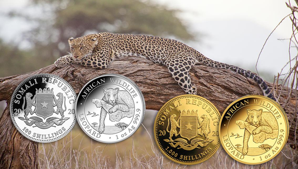 Afrika erwacht: Somalia-Leopard 2020 in Gold und Silber