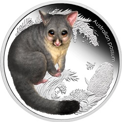 Silber Bush Babies II